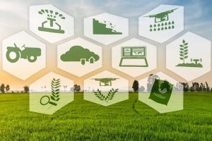 agri agri