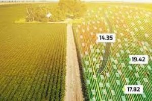 lidar crop lidar crop